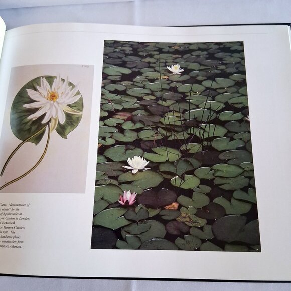 Wildflowers A Collection of U.S. Commemorative Stamps Book - Picture 7 of 10